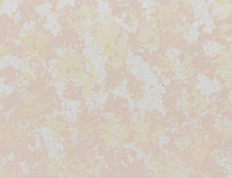 珍珠(zhū)閃光石塗料(liao)002