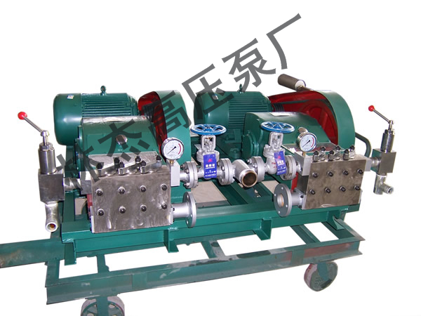 高壓清洗泵廠(chǎng)家
